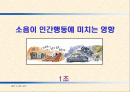 소음이 인간행동에 미치는 영향 1페이지