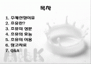 초유의 선분과 효능 및 이용 2페이지