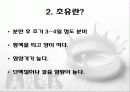 초유의 선분과 효능 및 이용 4페이지