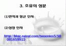 초유의 선분과 효능 및 이용 5페이지