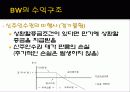 신주인수권부사채 19페이지