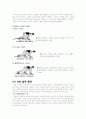 달리기 보고서 6페이지