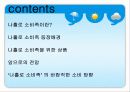 나홀로소비족의 소비트렌드분석 5페이지