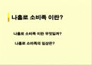 나홀로소비족의 소비트렌드분석 6페이지