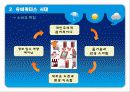 나홀로소비족의 소비트렌드분석 12페이지