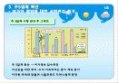 나홀로소비족의 소비트렌드분석 14페이지
