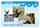 나홀로소비족의 소비트렌드분석 15페이지