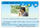 나홀로소비족의 소비트렌드분석 24페이지