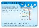 나홀로소비족의 소비트렌드분석 28페이지