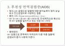 (성인) 면역질환 종류 4페이지