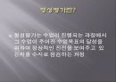 상대.절대.형성평가의 기준 16페이지