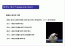태권도(Taekwondo)의 정신과 역사의 이해 19페이지