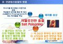 인공 임신중절 (낙태) ppt 7페이지