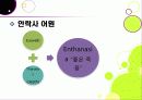 안락사 ppt 5페이지