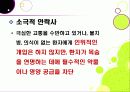 안락사 ppt 8페이지