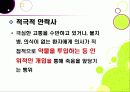안락사 ppt 9페이지
