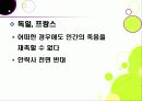 안락사 ppt 21페이지