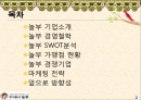 기업 놀부의 소개와 경쟁사 분석 마케팅 성공전략 등 2페이지