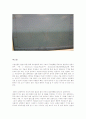 열분석 실험, 종류 7페이지