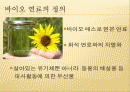 바이오 연료(바이오 디젤, 바이오 에탄올) ppt 발표 2페이지