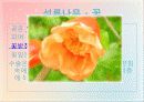 석류의 대한 전반적인 자료 및 효능 5페이지