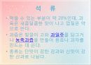 석류의 대한 전반적인 자료 및 효능 9페이지