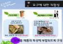 고객가치와 사례적용 - 월마트의 실패원인분석과 이마트의 성공요인 12페이지