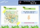 고객가치와 사례적용 - 월마트의 실패원인분석과 이마트의 성공요인 31페이지