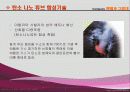 로보트 태권브이V (설계도 PT) 5페이지