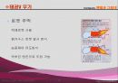 로보트 태권브이V (설계도 PT) 14페이지