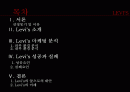 levis(리바이스) 마케팅전략분석 파워포인트 2페이지