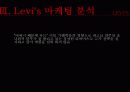 levis(리바이스) 마케팅전략분석 파워포인트 29페이지