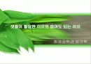 갯벌의 필요성 1페이지