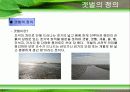 갯벌의 필요성 3페이지