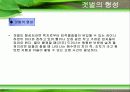 갯벌의 필요성 4페이지