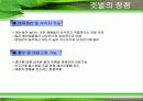 갯벌의 필요성 8페이지