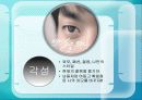 롯데카드광고분석 7페이지