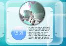 롯데카드광고분석 8페이지