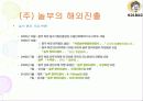 놀부 프랜차이즈 분석  17페이지