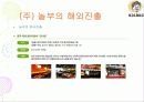 놀부 프랜차이즈 분석  20페이지