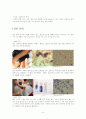 급성림프구성백혈병 acute lymphoblastic leukemia case study 6페이지