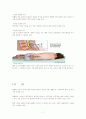 급성림프구성백혈병 acute lymphoblastic leukemia case study 7페이지