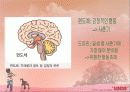 사춘기 청소년 성교육 6페이지