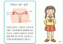 사춘기 청소년 성교육 11페이지