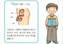 사춘기 청소년 성교육 14페이지