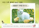 사춘기 청소년 성교육 18페이지