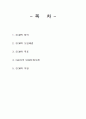 SCM의 내용과 적용사례 2페이지