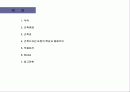 피터아이젠만 (PETER EISNMAN) 2페이지