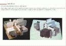 피터아이젠만 (PETER EISNMAN) 17페이지