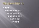 인터넷 게임중독의 문제점과 현실태 및 대응방안 11페이지